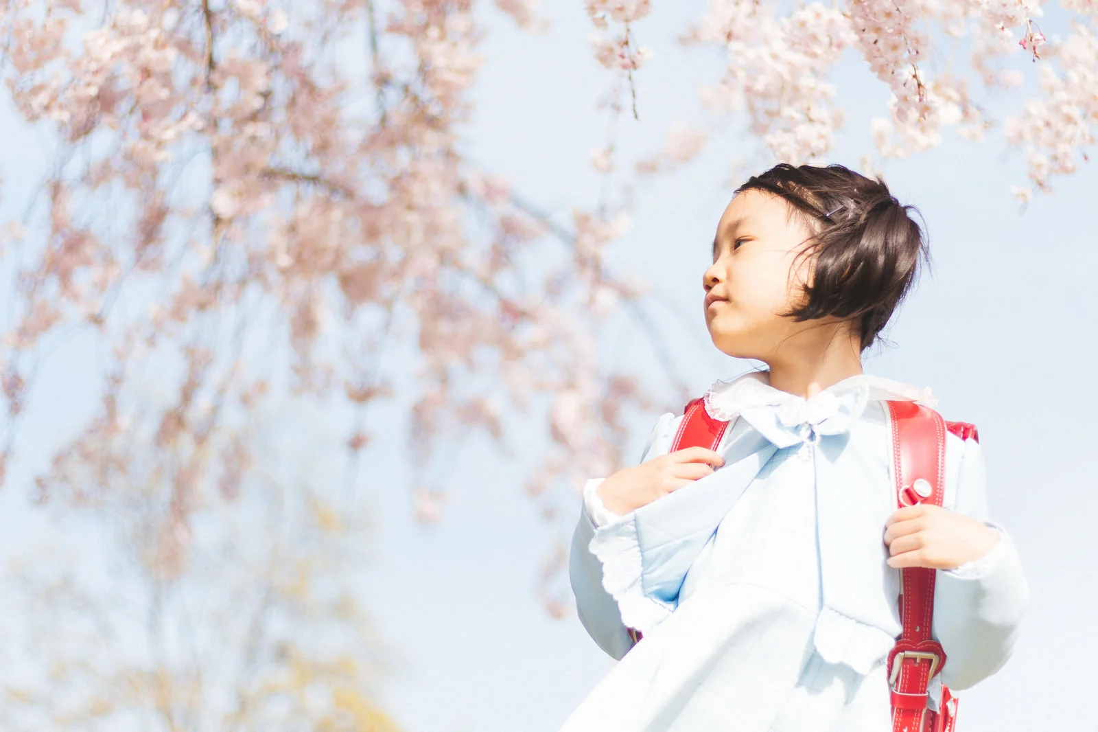 新学期の子供、新入生